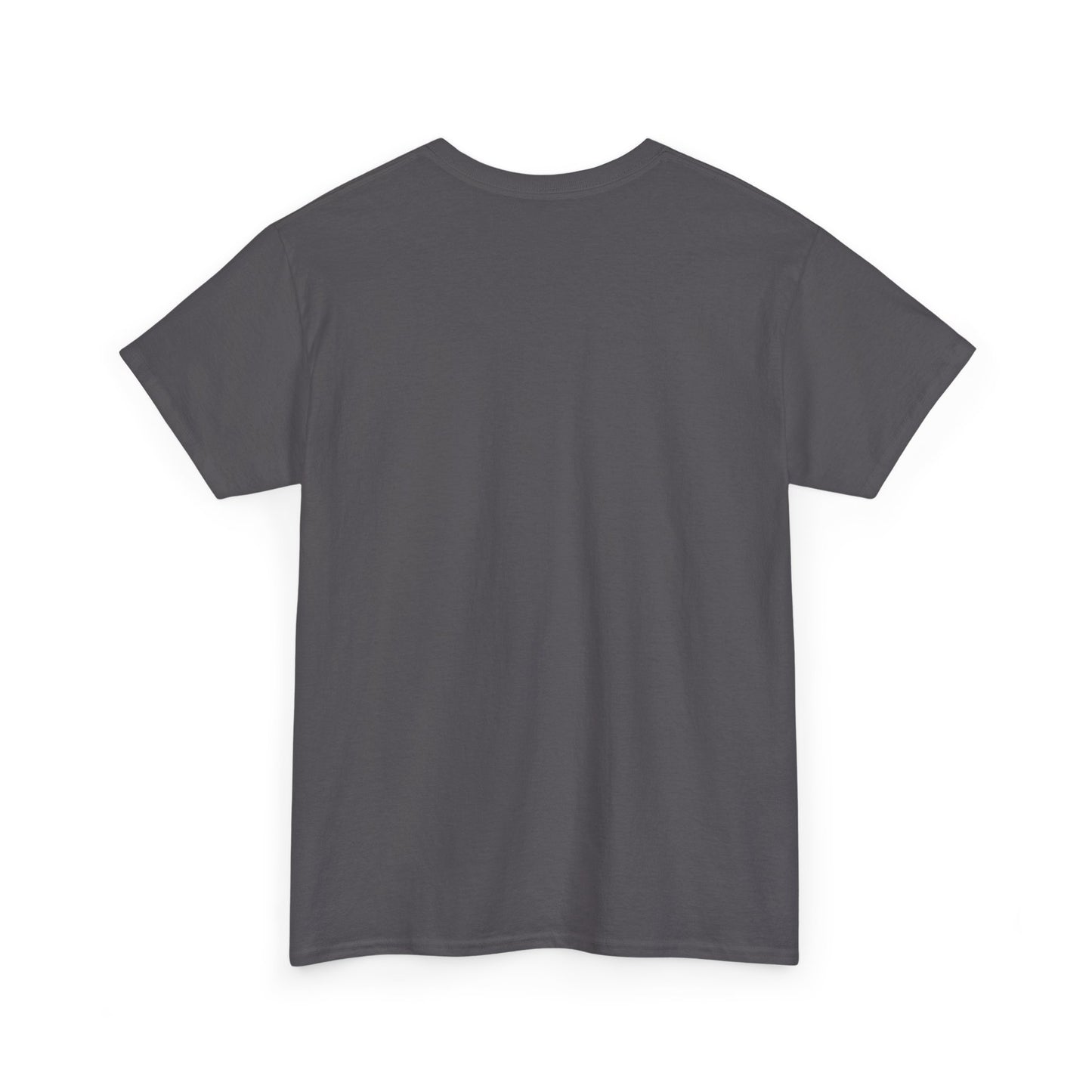 Never Give Up Unisex Heavy Cotton Tee